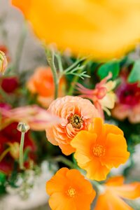 FrancisandLilly_Wedding_0050