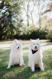 virginiaphotographer-206