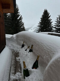 Powder - Champagne bottles chilling in fresh alpine snow - TVS