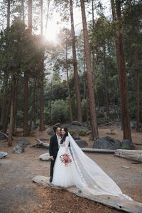 Yosemite-All-Inclusive-Elopement-by-Samantha-Josette-67