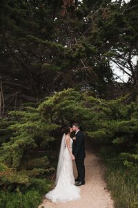 Big-Sur-Elopement-by-Samantha-Josette-Photography-20