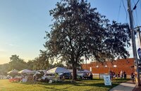 TAILGATE S