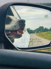 central-illinois-photographer-43