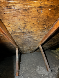 Attic mold growth before remediation treatment