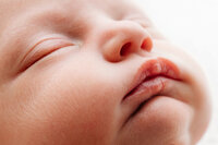 memphis newborn photography by jen howell 208