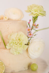 HartmanAtelierPhotography-274 (1)