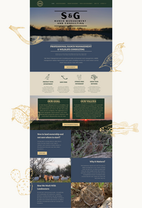 Website Slides