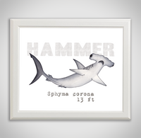 hammer-framed