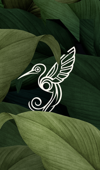 Illustrated bird logo mark created as part of a custom brand identity for a therapy practice in Asheville, NC