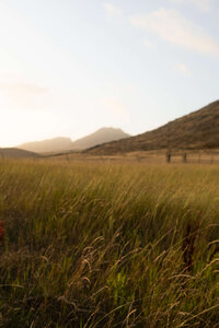 slo=laguna-lake-runner-sports-model-21