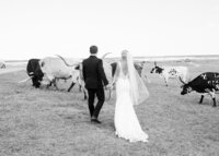 denver-wedding-photographer-85