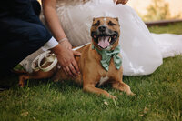 Marciniec_BrideandGroom155