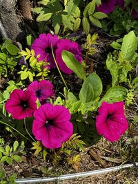 IMG_0615