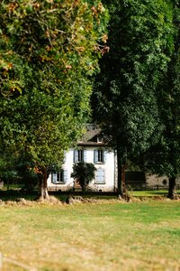 pexels-matreding-18827672