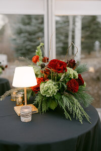 6P9A0502SavannahJohnsonPhoto2025