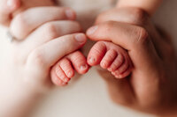 memphis newborn photography by jen howell 60