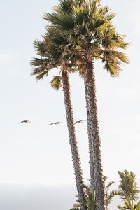 the-cliffs-hotel-hospitality-brand-photography-san-luis-obispo-84