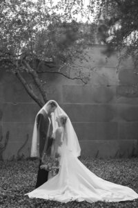 MayahLeePhotography-ChicagoWedding-CJ-0638042