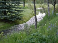 East Stream