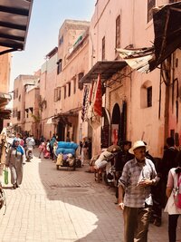 IMG_4251