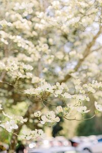FrancisandLilly_Wedding_0046