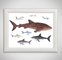 collection-framed