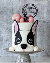 utah-birthday-custom-cakes-pam-cakes-studio