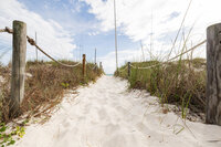 _MG_8636_websize