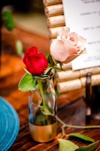 Ivory-Door-Studio-Arrington-Vineyards-Wedding-0021