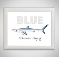 blue-framed