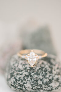 Jack+Sydney Engagement-248