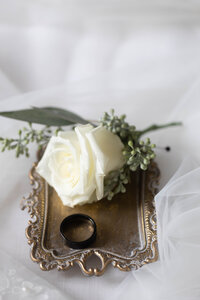 Starrella Photography -6904