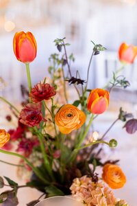 FrancisandLilly_Wedding_0065
