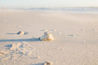 IMG_6900-Edit