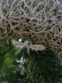Maddie & Wynn Welcome -