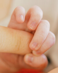 A close up of a newborn baby boys hands during a newborn photography session in Wilmington, North Carolina