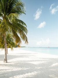 Tropical white sand beach with palm trees and crystal-clear turquoise water