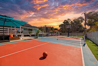 Basketball_websize