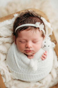 memphis newborn photography by jen howell 184