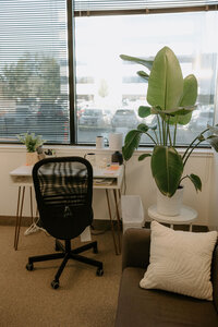 desk and chair with plant in front of window.