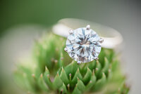 PNW Wedding Photographer