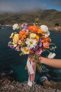 Big-Sur-Elopement-by-Samantha-Josette-Photography-31