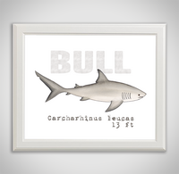 bull-framed
