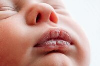memphis newborn photography by jen howell 27