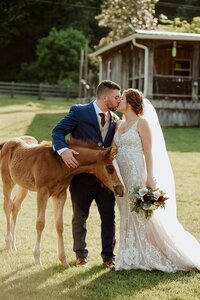 Bride and groom portrait with pony at Nashville Tennessee venue — planned by Weddings & Events by Raina