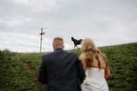 Bride and groom walking hand in hand through a countryside field towards a horse, stables wedding farm