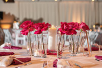 Reception-0011