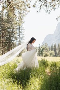 Yosemite-All-Inclusive-Elopement-by-Samantha-Josette-33