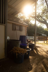 arroyo-grande-equestrian-center-12
