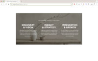 kvetuse-vasirova-website-creation-bryony-williams 2